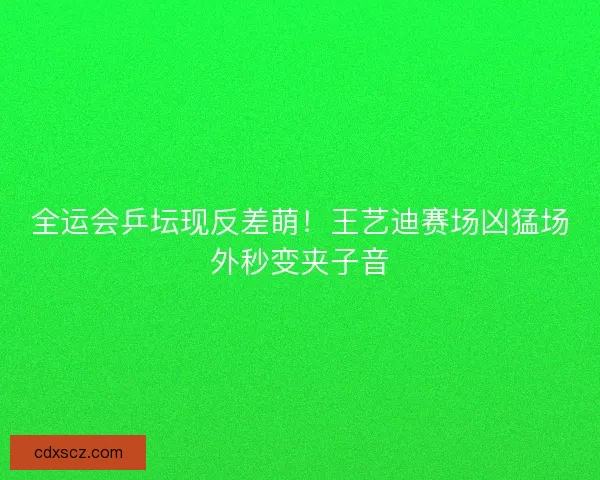 全运会乒坛现反差萌！王艺迪赛场凶猛场外秒变夹子音