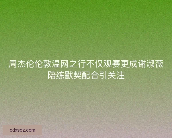 周杰伦伦敦温网之行不仅观赛更成谢淑薇陪练默契配合引关注