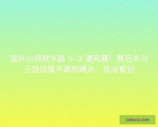 国乒小将敖华磊 0-3 遭网暴！赛后未与王楚钦握手真相曝光：我没看到
