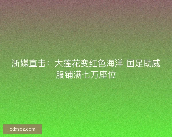 浙媒直击：大莲花变红色海洋 国足助威服铺满七万座位