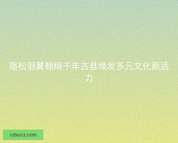 宿松羽翼翱翔千年古县焕发多元文化新活力