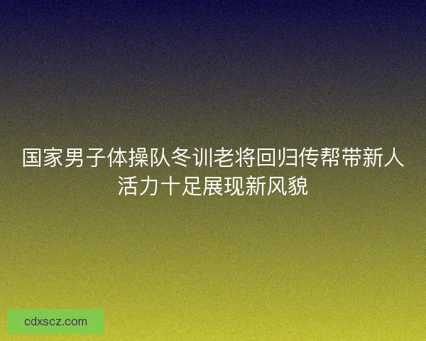 国家男子体操队冬训老将回归传帮带新人活力十足展现新风貌 国家男子体操队冬训老将回归传帮带新人活力十足展现新风貌